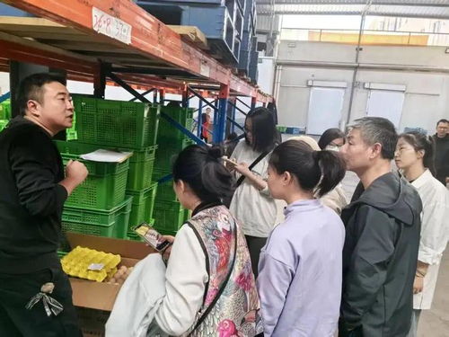 上海學生午餐蝦仁炒蛋引食品安全風波，監管部門介入調查