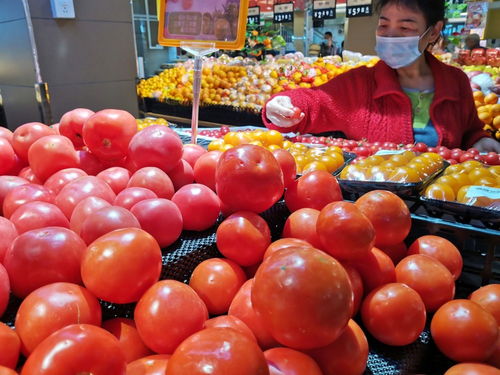 深圳強化食用農產品質量安全監管 批發市場月快檢900次，筑牢全鏈條安全防線