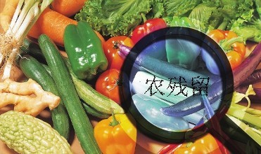 黑龍江通報4批次食用農產品農藥殘留超標，批發環節成監管重點
