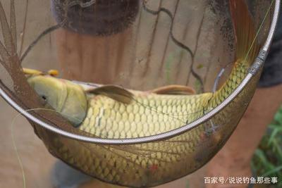 行者野釣營(yíng)潘家口水庫(kù)活動(dòng)紀(jì)實(shí) 山水之間，尋一份野趣與寧?kù)o
